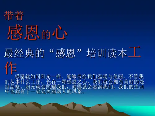 员工职业精神培训