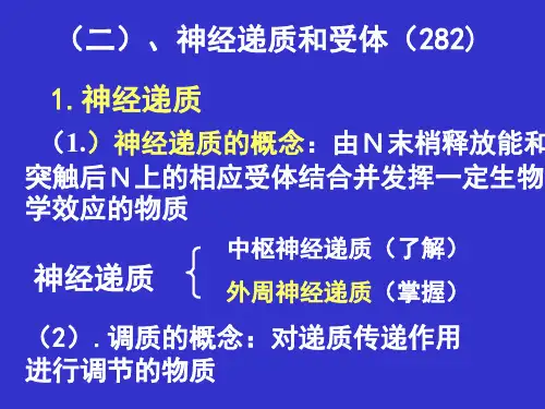 生理学 神经-2
