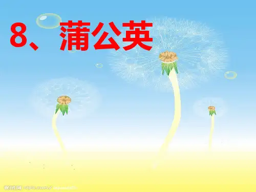 方案二蒲公英第二课时PPT课件