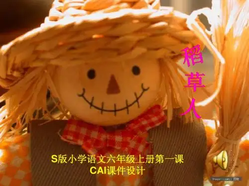 六年级语文稻草人课件