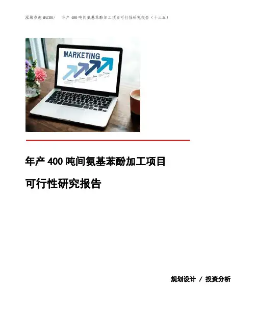 年产400吨间氨基苯酚加工项目可行性研究报告(十三五)