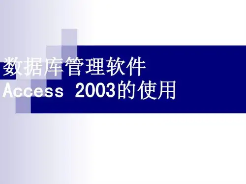 access2003教程