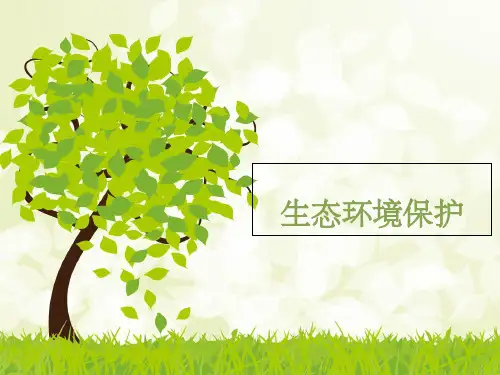 森林及其保护ppt课件