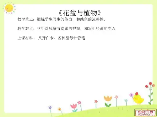 《花盆》写生课程详案