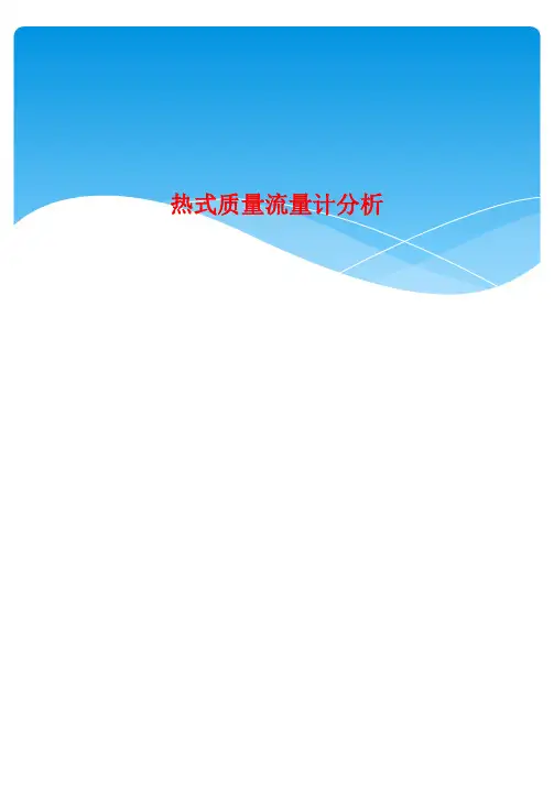 热式质量流量计分析