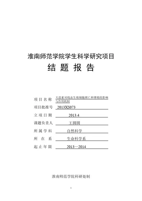 (完整版)项目结题报告