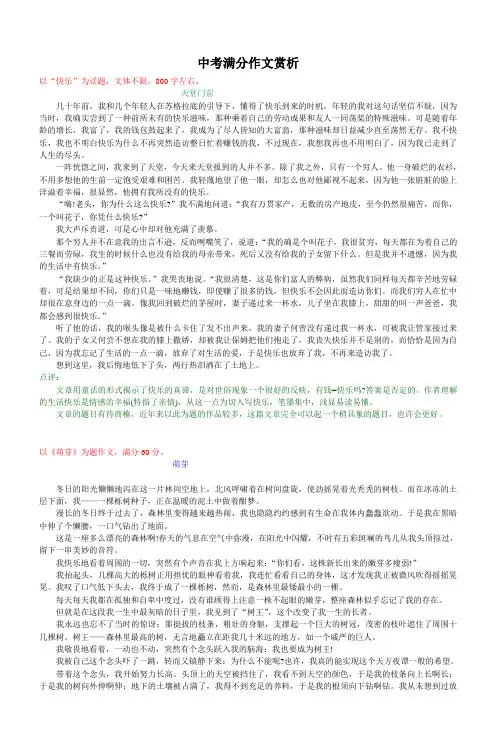 中考满分作文赏析