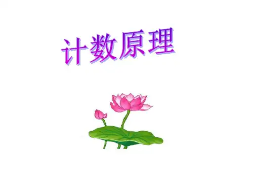 10.1 计数原理 ppt课件