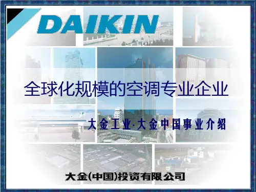 大金公司简介