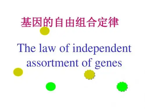 基因的自由组合规律