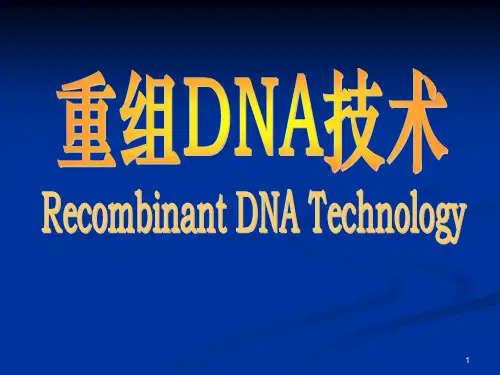 重组DNA技术