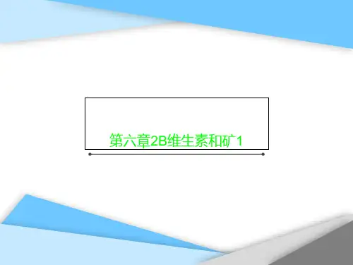第六章2B维生素和矿1