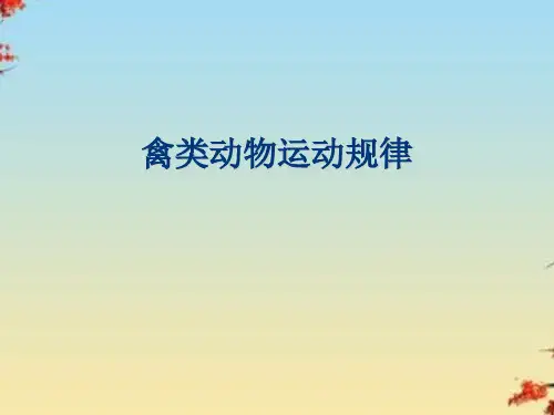 禽类动物运动规律