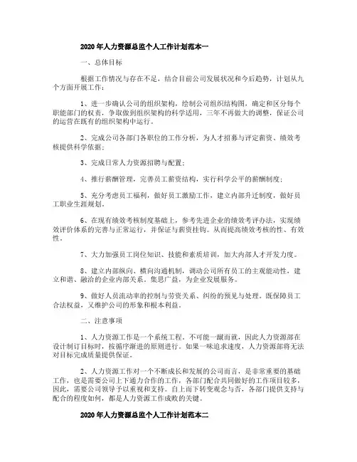 2020年人力资源总监个人工作计划范本五篇