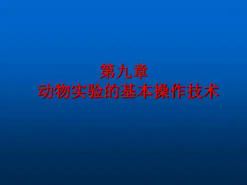 动物实验的基本方法