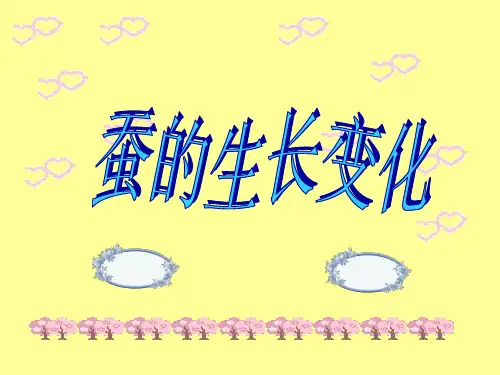 第2节《蚕的生长变化》