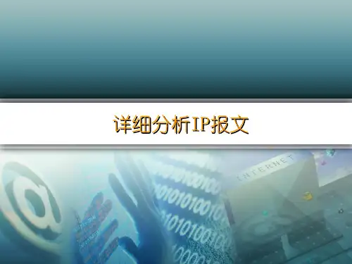 分析IP报文