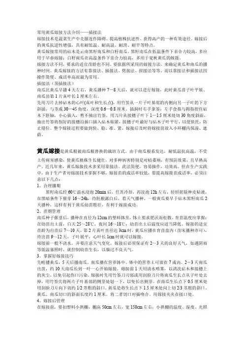 黄瓜嫁接