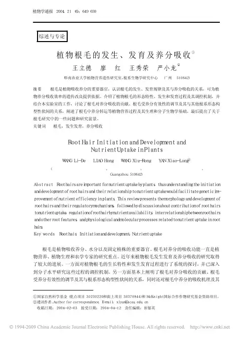 植物根毛的发生_发育及养分吸收