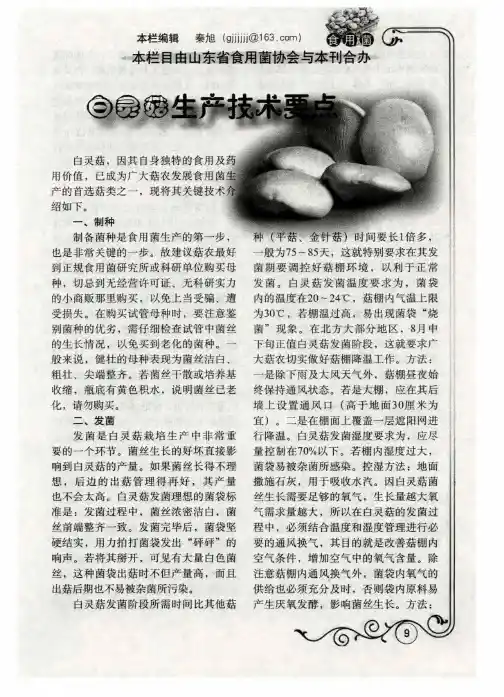 白灵菇生产技术要点
