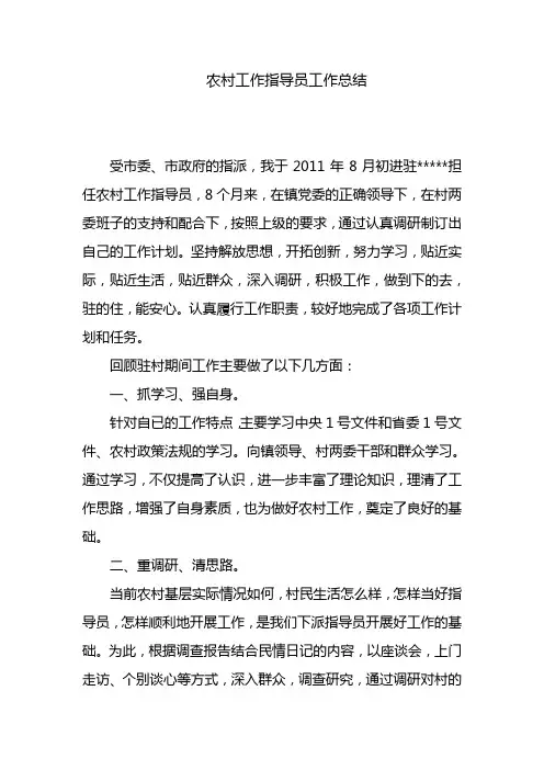 农村工作指导员个人工作总结