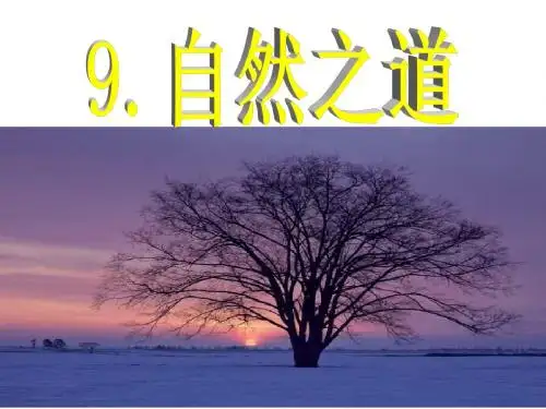 人教版小学四年级语文下册《自然之道》课件