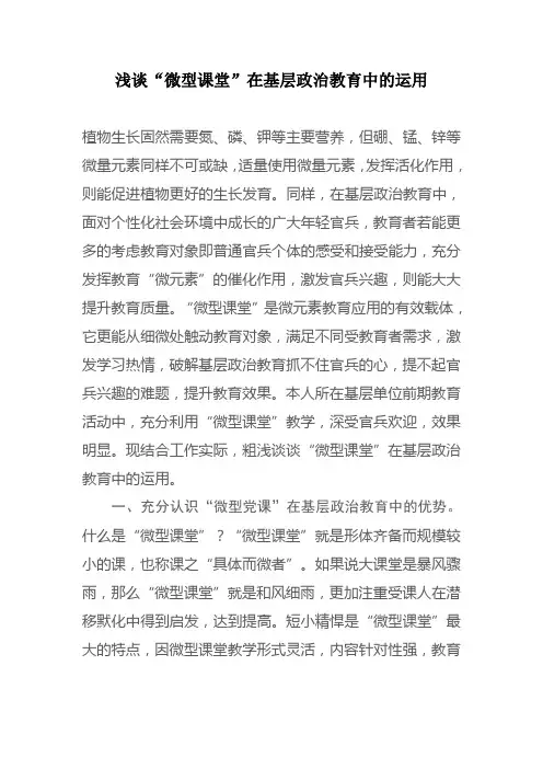 浅谈“微型课堂”在基层政治教育中的运用