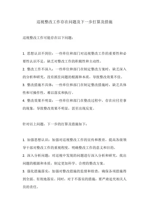 巡视整改工作存在问题及下一步打算及措施