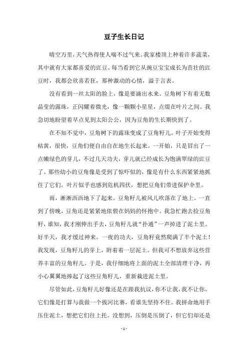 豆子生长日记