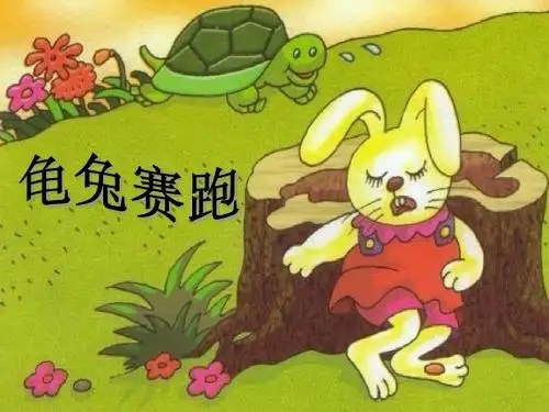 狮子和鹿公开课