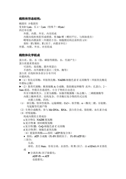 线粒体-细胞生物学