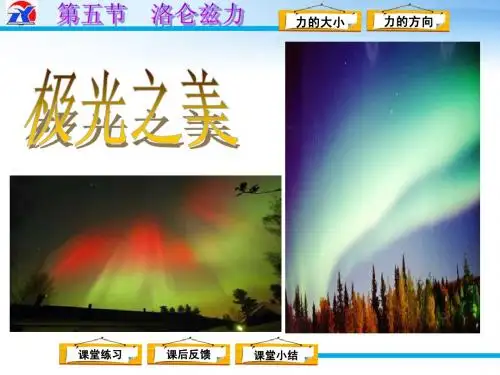 研究洛伦兹力