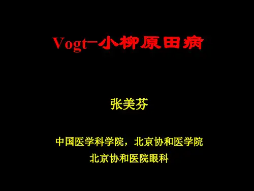 Vogt-小柳原田病课件