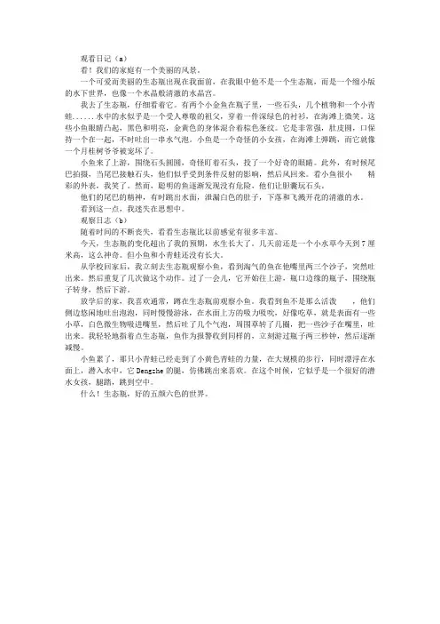 生态瓶观察日记