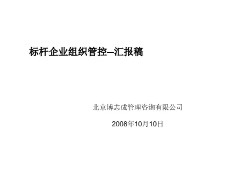 组织设计-标杆企业组织管控汇报稿 精品