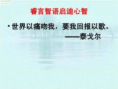 2009年高考语文二轮专题复习课件文言文的分析综合讲稿