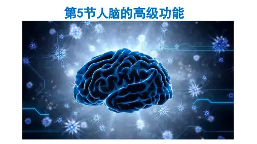 人教版新教材《人脑的高级功能》优质课件1