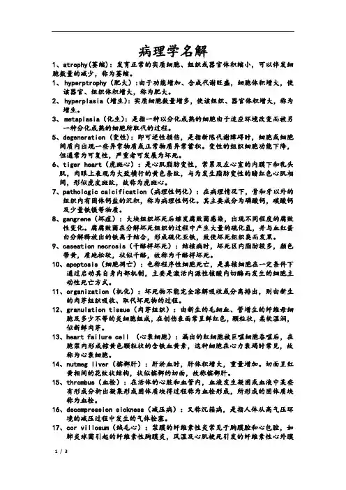 病理学名解