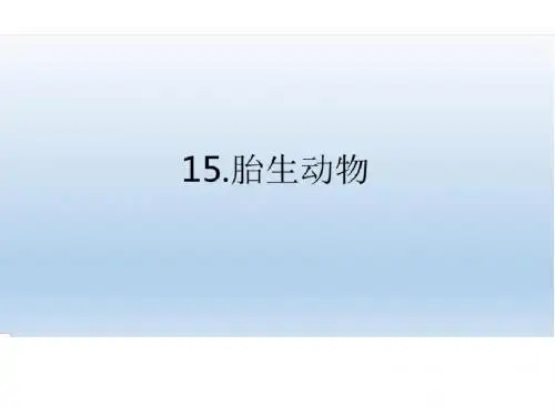15胎生动物