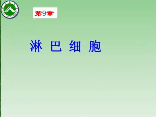 第九章 淋巴细胞