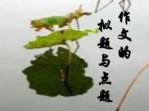 作文的拟题与点题