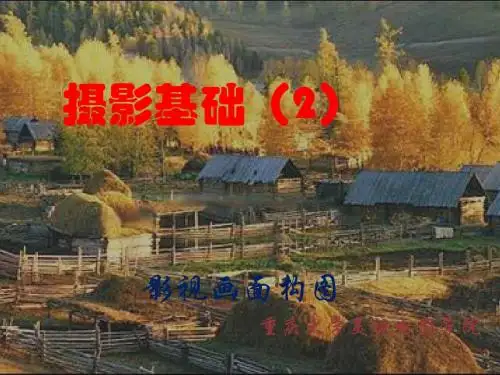 4-导演、美设摄影基础(2)-影视画面构图