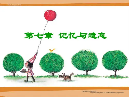 记忆与遗忘全解