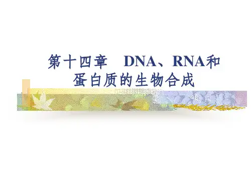14第十四章 DNA、RNA和蛋白质的生物合成
