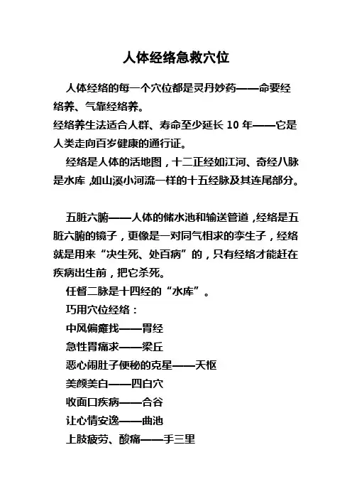 人体经络急救穴位