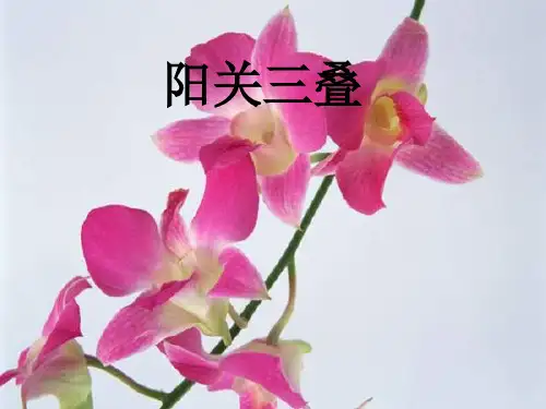 《阳关三叠》课件