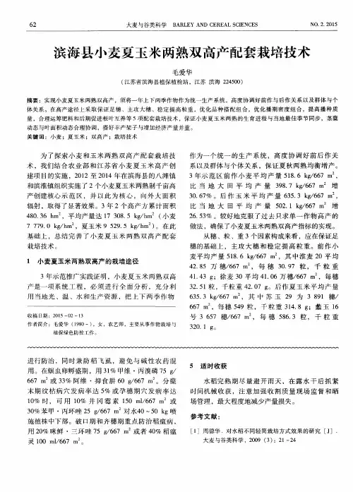滨海县小麦夏玉米两熟双高产配套栽培技术