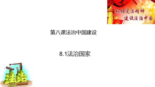 法治国家高中政治统编版必修三教学课件