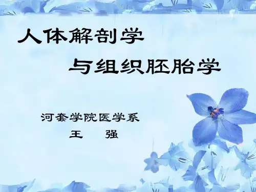 人体解剖学与组织胚胎学-绪论-河套学院-王强