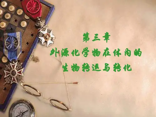 外源化学物在体内的生物转运和生物转化